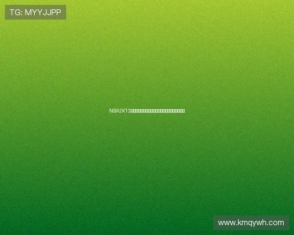 NBA2K13修改器加载缓慢影响玩家体验游戏性能优化受关注 NBA2K13修改器加载缓慢影响玩家体验游戏性能优化受关注